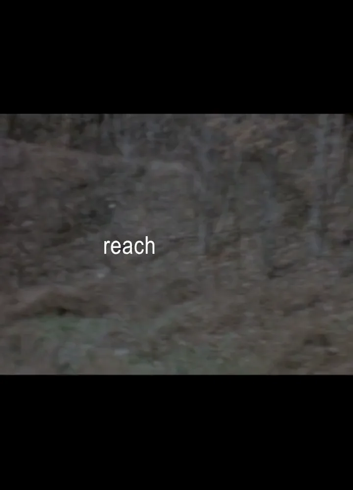 Lyric video example: Documentary road cut